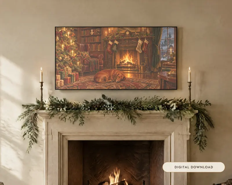 Dachshund at Christmas, shown in a room