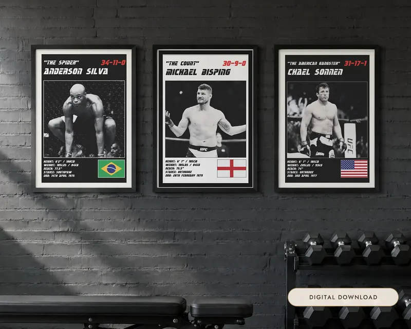 MMA Poster Set of 3, shown in a room