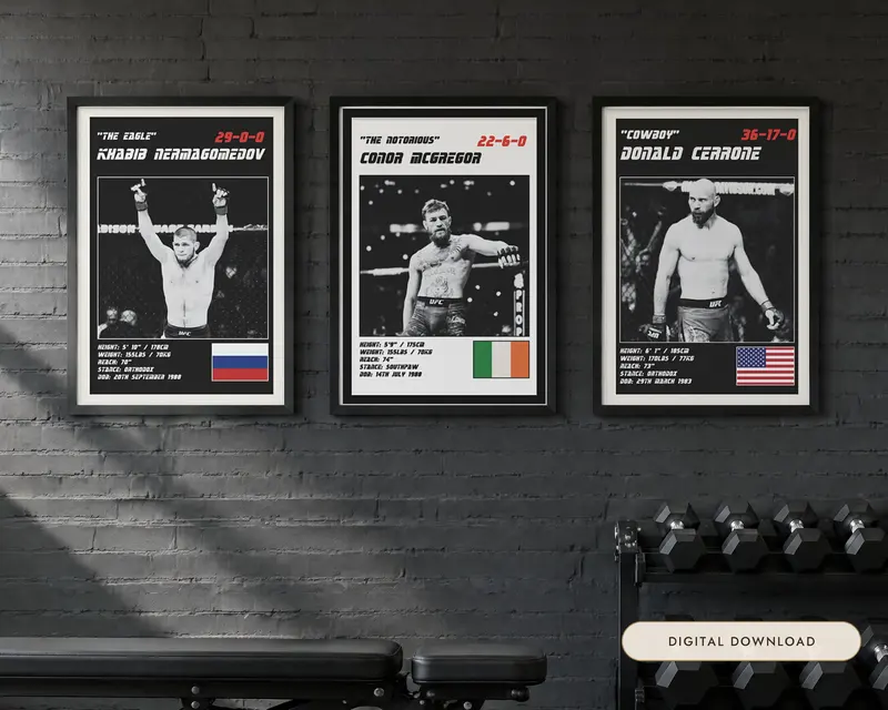 MMA Poster Set of 3, shown in a room