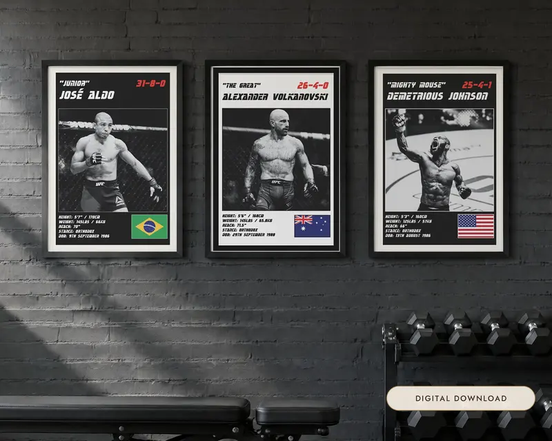 MMA Poster Set of 3, shown in a room