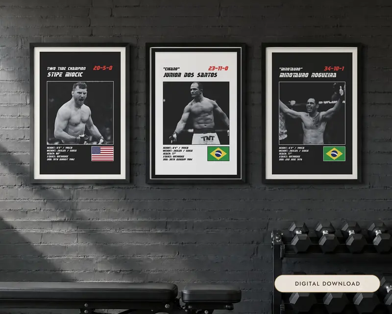 MMA Poster Set of 3, shown in a room